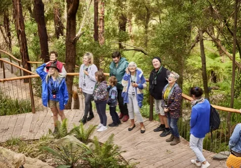 Walk+with+Wildlife+tour+with+guide Wildlife+Wonders+Apollo+Bay